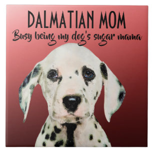 Carreau Dalmatie Maman Carrelage céramique