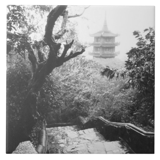 Carreau Danang Vietnam, Temple View Marble Mountain (Devant)