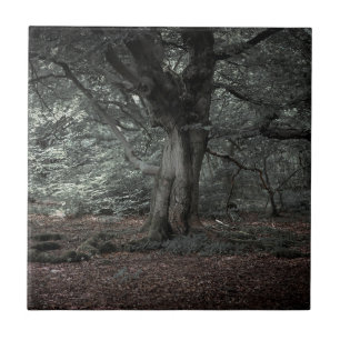 Carreau Dans la forêt de conte de fées    