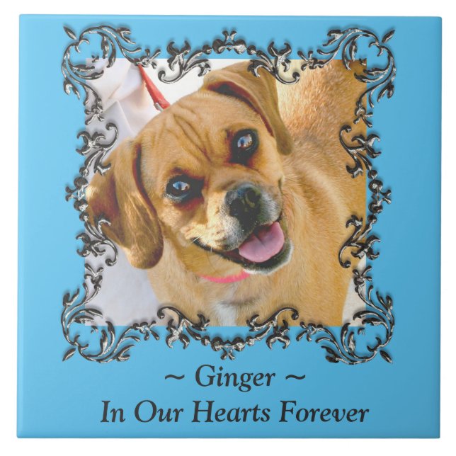 Carreau Dans Nos Coeurs Forever Pet Memorial Carrelage cér (Devant)