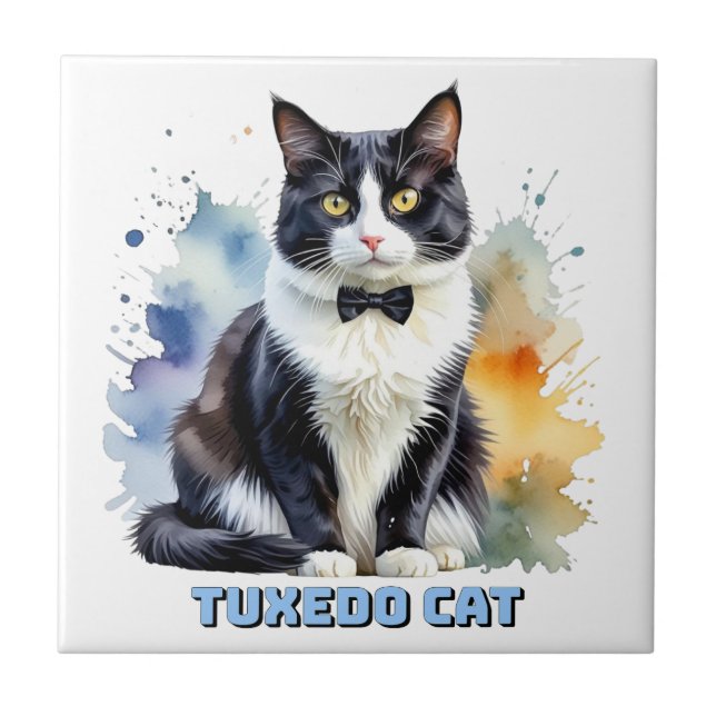 Carreau Dapper Tuxedo Cat (Devant)