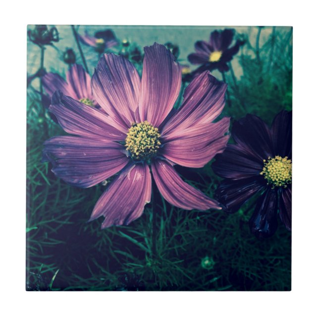 Carreau Dark Purple Flowers Photo Art (Devant)