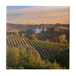 Carreau d'Asti de Costilgiole, Piémont, Italie
