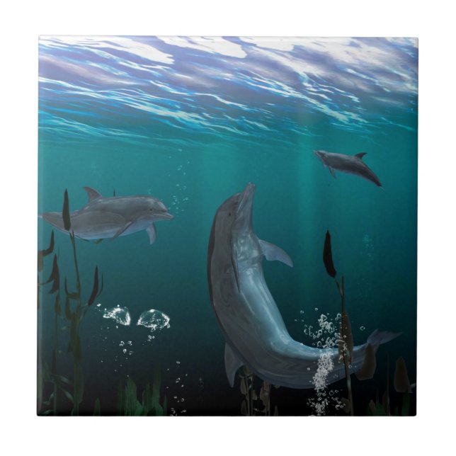 Carreau dauphins (Devant)