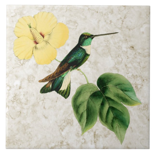 Carreau de céramique colleté de colibri d'Inca (Devant)