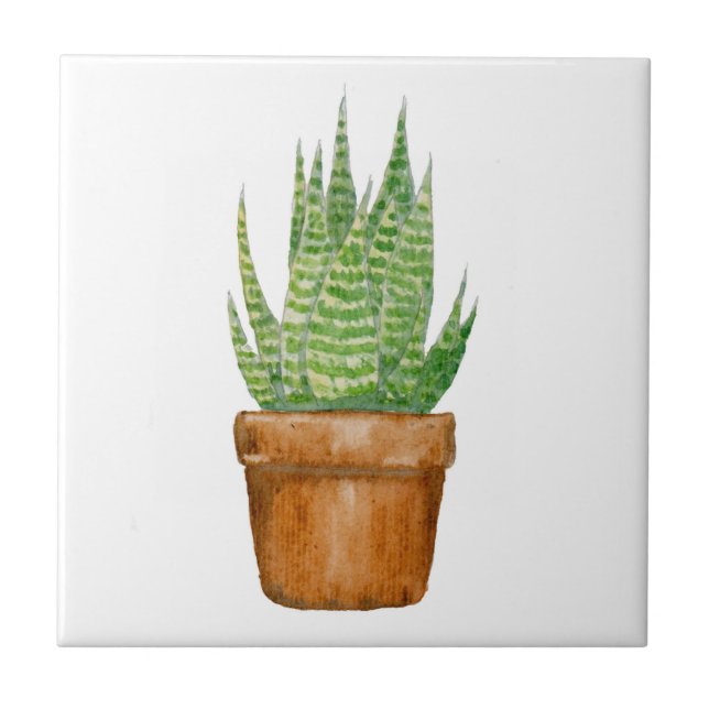 Carreau de céramique d'Aloe Vera en pot (Devant)