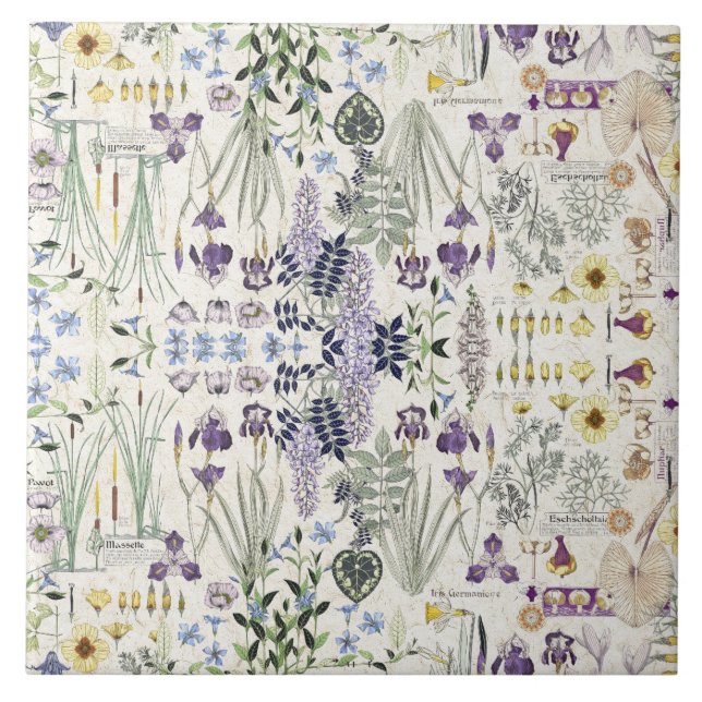 Carreau de céramique d'art de fleurs botaniques (Devant)