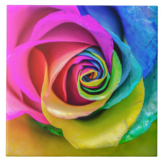 Carreau de céramique de beau rose d'arc-en-ciel