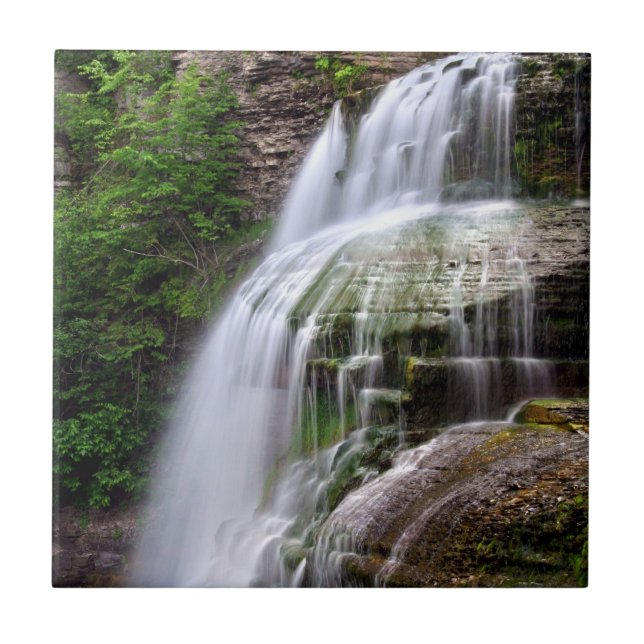 Carreau de céramique de cascade (Devant)