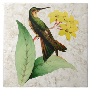 Carreau de céramique de colibri géant
