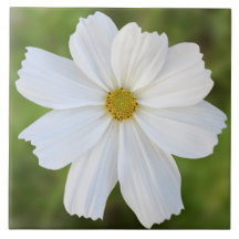 Carreau de céramique de cosmos