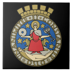 Carreau de céramique de la Norvège Oslo