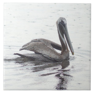Carreau de céramique de l'eau d'oiseau de pélica