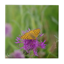 Carreau de céramique de papillon de fritillaire