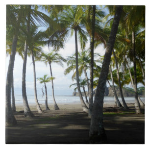 Carreau de céramique de plage de Sàmara