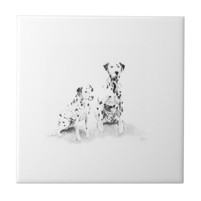 Carreau de céramique de portrait dalmatien de (Devant)