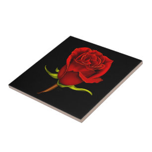 Carreau de céramique de rose rouge sur le noir