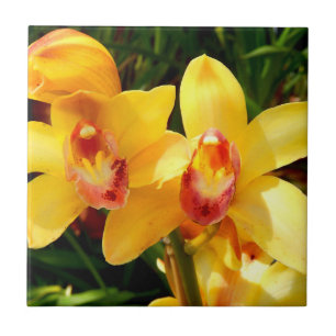 Carreau de céramique d'orchidée jaune de Cymbidium