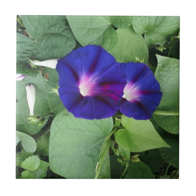 Carreau de céramique floral (Devant)