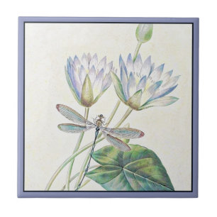 Carreau de céramique lotus et libellule