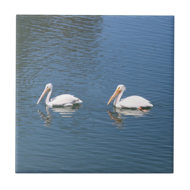 carreau de couple pélican (Devant)