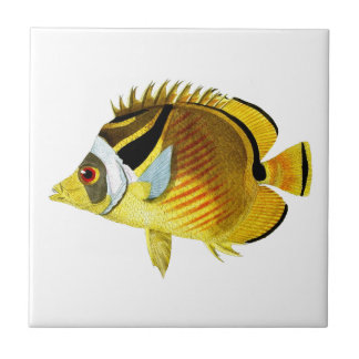 Carreau Décor à la maison côtier tropical des poissons