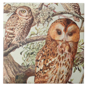 Carreau Décor animal hibou vintage céramique