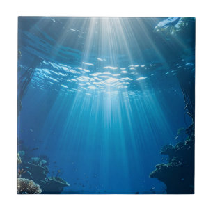 Carreau Décor Carrelage Récif De Corail Lumineux