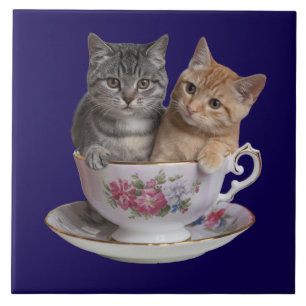 Carreau décoratif Tasse de thé Chat tabby mignon