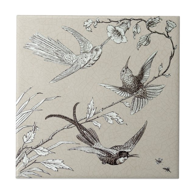 Carreau Des colibris exquis s'attaquent au Repro victorien (Devant)