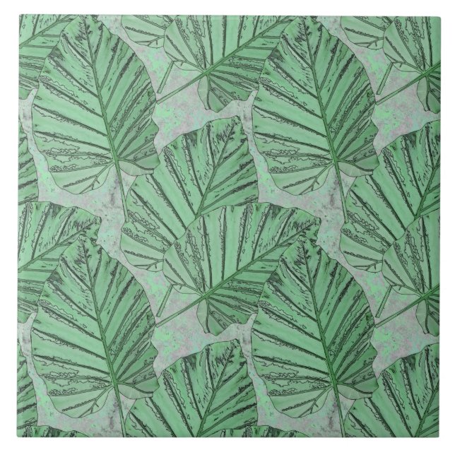 Carreau Des feuilles verts sur une pierre grise. (Devant)