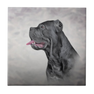 Carreau Dessin chien Cane Corso - Mastiff italien