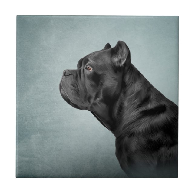 Carreau Dessin de Cane Corso - Mastiff italien (Devant)