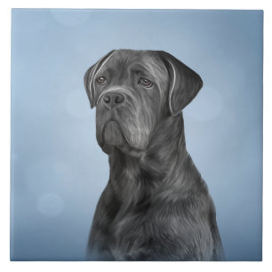 Carreau Dessin de Cane Corso - Mastiff italien