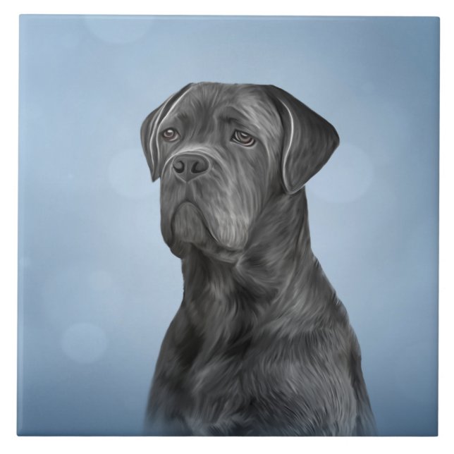 Carreau Dessin de Cane Corso - Mastiff italien (Devant)
