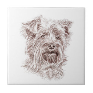 Carreau Dessin Yorkshire Terrier