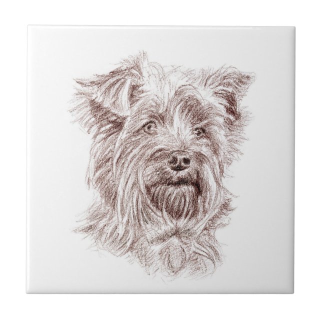 Carreau Dessin Yorkshire Terrier (Devant)