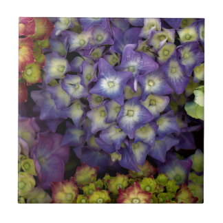 Carreau Dessous de verre en céramique, jardin de fleurs Hy