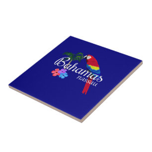 Carreau Destination tropicale de Nassau Bahamas