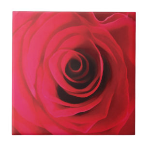 Carreau Détail du bourgeon rose d'aquarelle rouge chaud