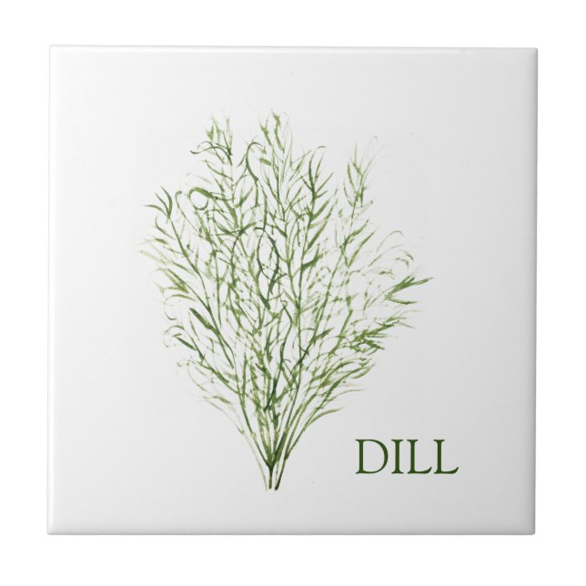 Carreau Dill Herb Green Cuisine Cuisine culinaire vert Pla (Devant)