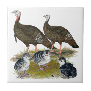 Carreau Dindes Famille Sauvage de l'Est
