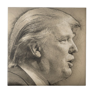 Carreau Donald Trump
