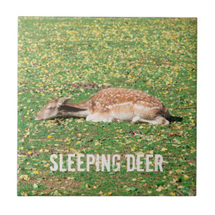 Carreau Dormir Cerf en hibernation en automne sur les prés