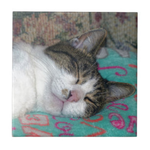 Carreau Dormir de miel