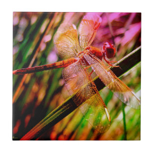 Carreau DRAGONFLY GOLDEN HARMONIE 2.jpg
