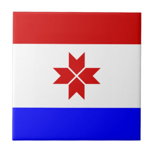 Carreau Drapeau de la Mordovie