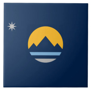 Carreau Drapeau de la ville de Reno