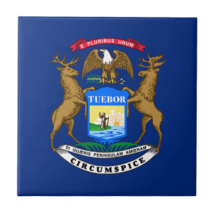 Carreau Drapeau de l'État du Michigan
