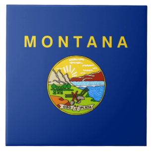 Carreau Drapeau d'État du Montana